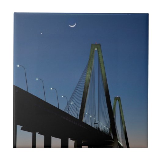 薄暗がりのアーサーRavenel Jr.橋 タイル (正面)