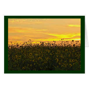 薄暗がりのヒマワリ