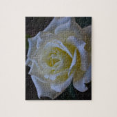 薄暗がりの白いバラ ジグソーパズル (縦)