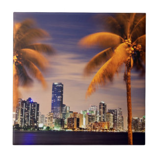 薄暗がりの米国、フロリダ、マイアミのスカイライン タイル