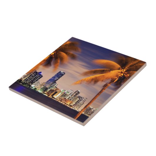 薄暗がりの米国、フロリダ、マイアミのスカイライン タイル (側面)