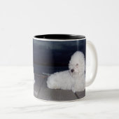薄暗がりのBichons ツートーンマグカップ (正面右)