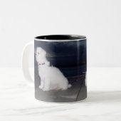 薄暗がりのBichons ツートーンマグカップ (正面左)