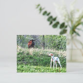 薄棒対牛モー比 ポストカード (スタンド正面)