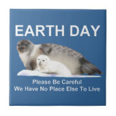 薄氷の上で タイル (正面)