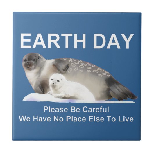 薄氷の上で タイル (正面)