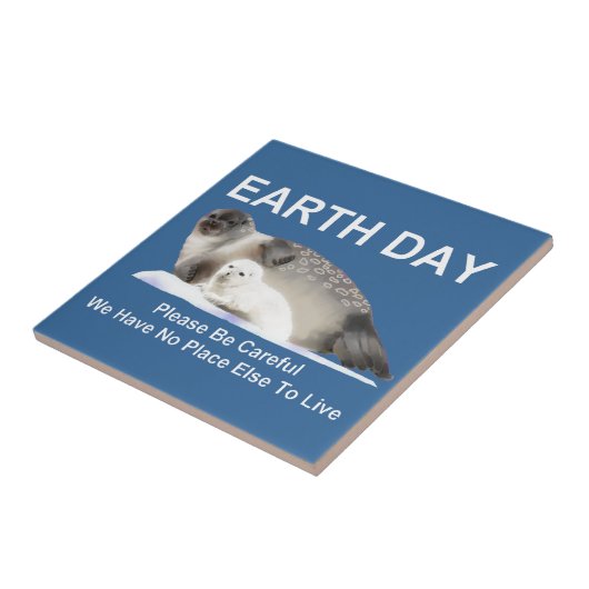 薄氷の上で タイル (側面)