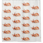 薄白 シャワーカーテン (正面)