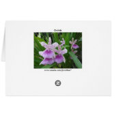 薄紫および白い蘭カード (裏面横)