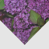 薄紫のティッシュペーパー 薄葉紙 (詳細)