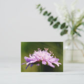 薄紫の不毛の花 エンクロージャーカード (スタンド正面)