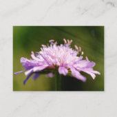 薄紫の不毛の花 エンクロージャーカード (正面)