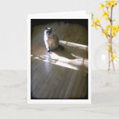 薄紫の先のとがった太陽の下のシャム猫 カード (黄色い花)