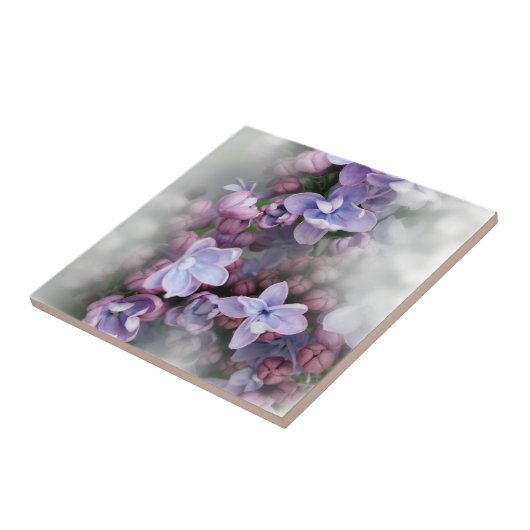 薄紫の咲くこと タイル (側面)