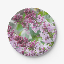 薄紫の春の紙皿 ペーパープレート