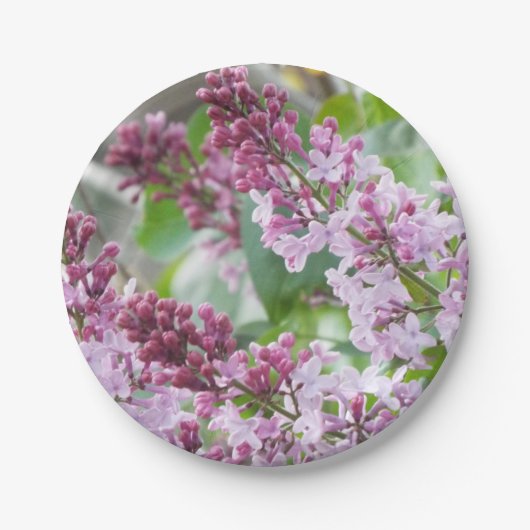 薄紫の春の紙皿 ペーパープレート (正面)