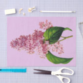 薄紫の枝植物の10" X 15"ティッシュペーパー 薄葉紙 (クラフト)