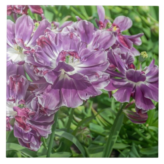 薄紫の花のセラミックタイル タイル (正面)