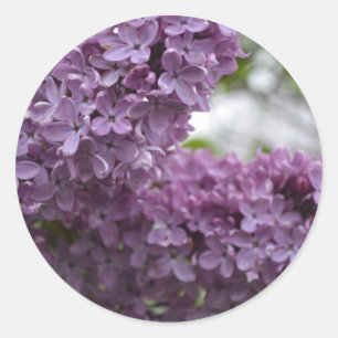 薄紫の花 ラウンドシール