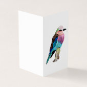 薄紫のBreastedのローラーの鳥 (外部)