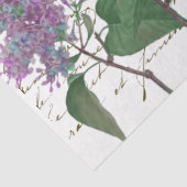 薄紫アゲハチョウバタフライフランスのスクリプトクラフトTi 薄葉紙 (詳細)
