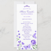 薄紫キンセアニライベント計画 (正面)