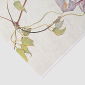 薄紫クレマチスバイマーガレットアームストロング 薄葉紙 (詳細)