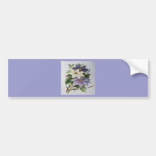 薄紫クレマティスつる植物アクリル絵画ズ バンパーステッカー