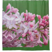 薄紫シャワーカーテン シャワーカーテン (正面)