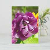 薄紫チューリップ (スタンド正面)