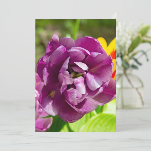 薄紫チューリップ (スタンド正面)