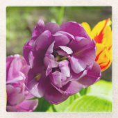 薄紫チューリップ ガラスコースター (正面)