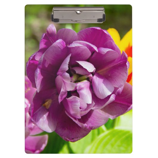 薄紫チューリップ クリップボード (正面)