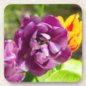 薄紫チューリップ コースター (正面)