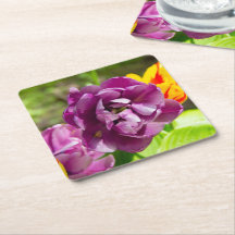 薄紫チューリップ