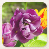 薄紫チューリップ スクエアペーパーコースター (正面)