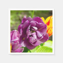 薄紫チューリップ