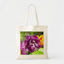 薄紫チューリップ