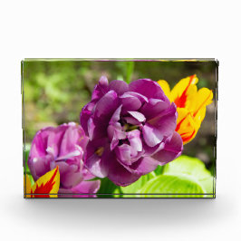 薄紫チューリップ フォトブロック