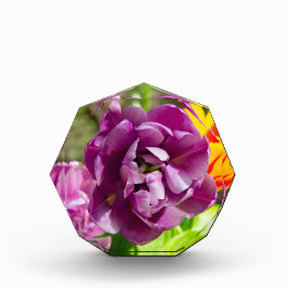 薄紫チューリップ フォトブロック