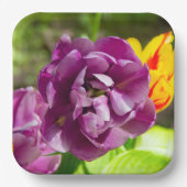 薄紫チューリップ ペーパープレート (正面)