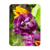 薄紫チューリップ マグネット (縦)