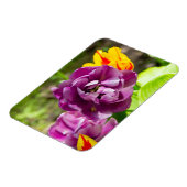 薄紫チューリップ マグネット (左側)