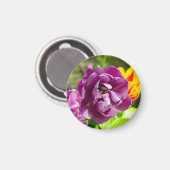 薄紫チューリップ マグネット (正面/裏面)