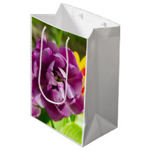 薄紫チューリップ