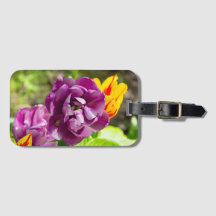 薄紫チューリップ