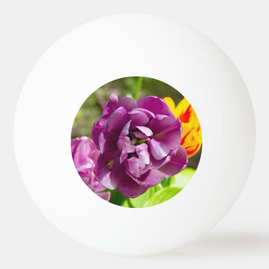 薄紫チューリップ 卓球ボール (正面)