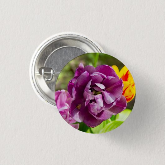 薄紫チューリップ 缶バッジ (正面&裏面)