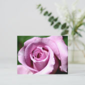 薄紫バラ ポストカード (スタンド正面)