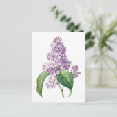 薄紫フラワーズレッドヴェボタニカルイラストレーション ポストカード (スタンド正面)